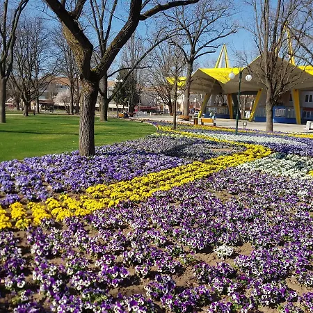 Lola Hajdúszoboszló